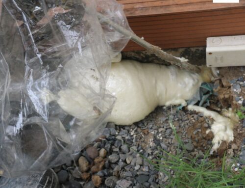 ปิดโพรงใต้บ้าน ด้วย PUFoam