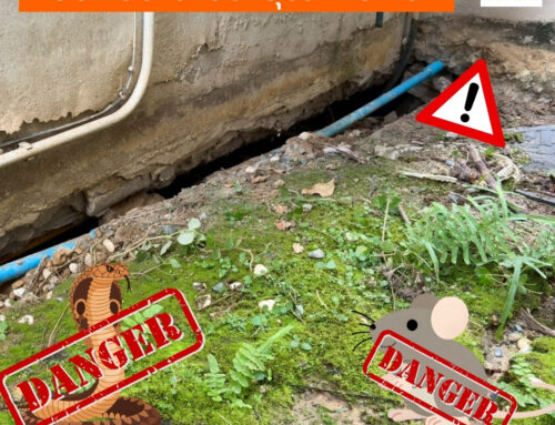 ปิดโพรง ซ่อมพื้นตัวอาคารบ้านทรุด กรุงเทพฯ พระราม 2