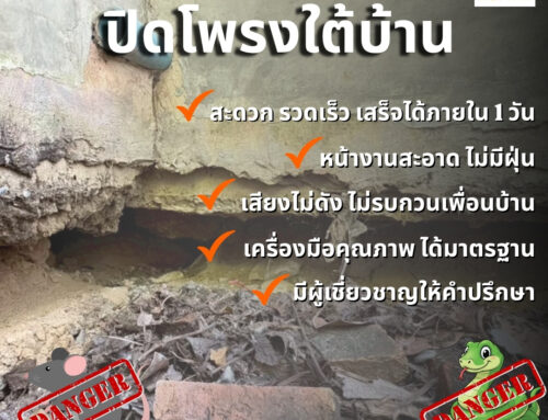 ปิดโพรง อุดโพรงป้องกันการทรุดบ้านด้วย PU Foam จ.พระนครศรีอยุธยา